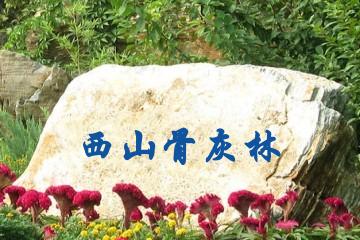 北京西山骨灰林