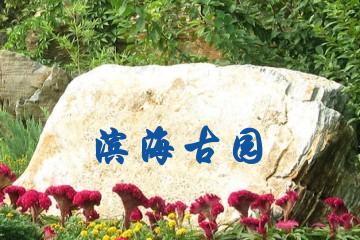 上海滨海古园